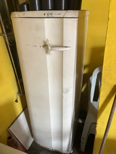 Freezer vertical