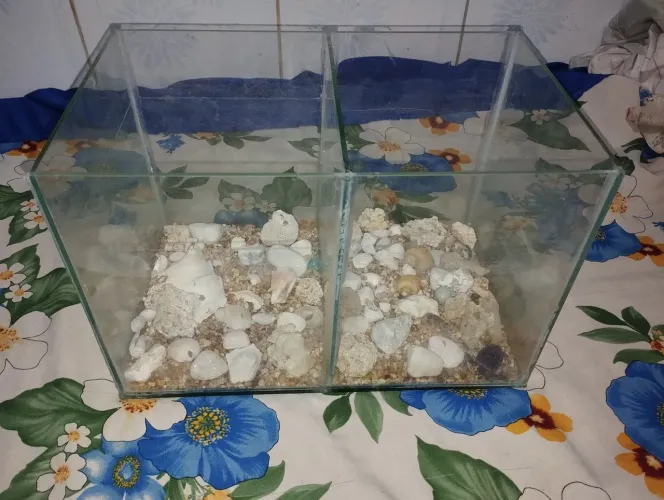 Aquário