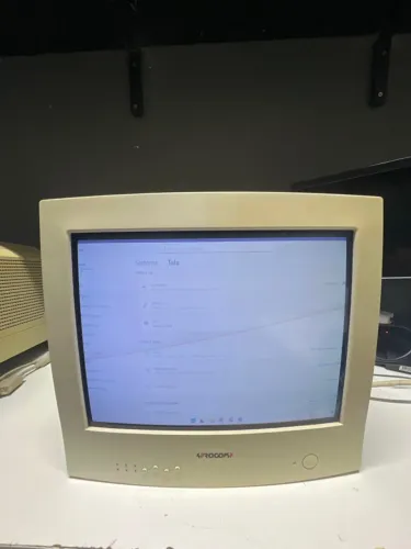 MONITOR CRT TUBO BRANBO VINTAGE LG PROCOMP