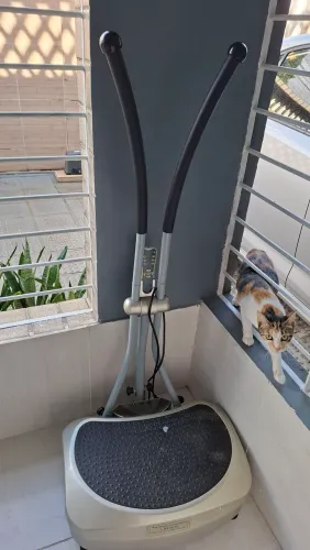 Plataforma vibratoria 