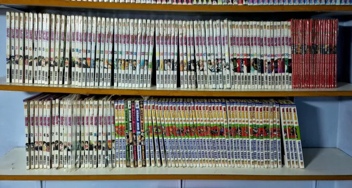Mangás - Bleach, Dragon Ball, Hellsing