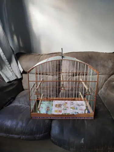 Vendo gaiola de passeio malha grossa