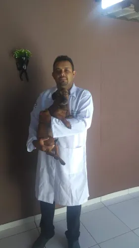 Veterinário em domicílio