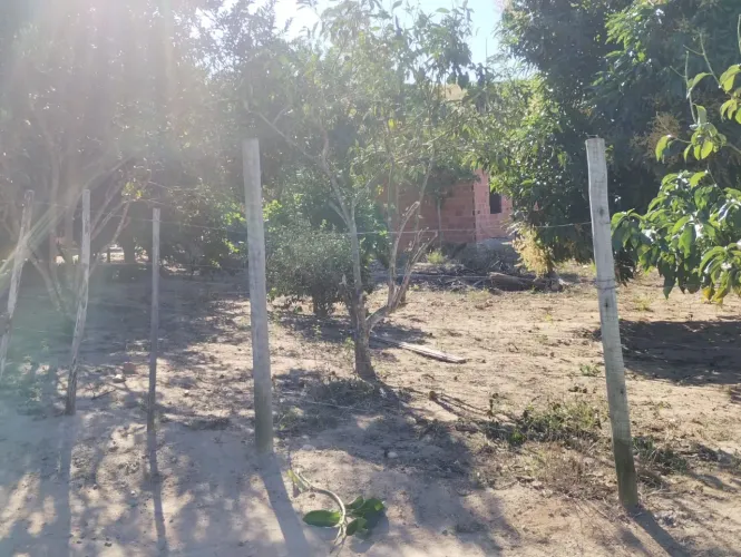 Vende-se terreno em roça!! Localidade Brejo Grande do Sul