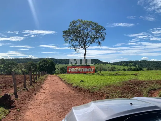 Fazenda 33 Alqueires (159,72 Hectares) Firminóplis - GO