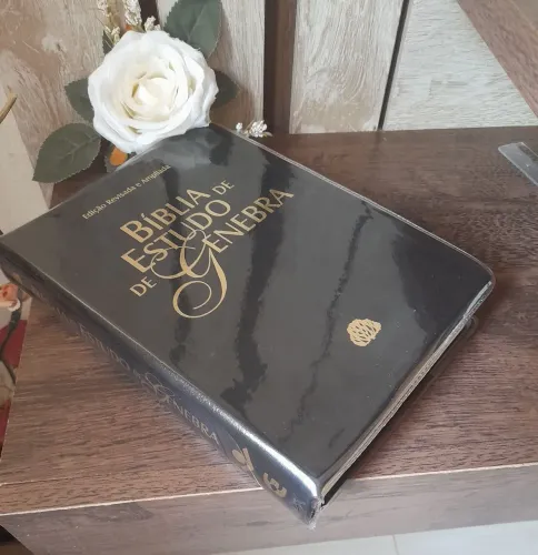Bíblia de estudo de genebra ( praticamente nova)
