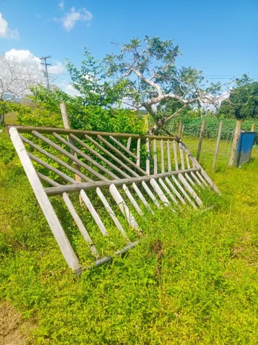 Portão feito com EUCALIPTO