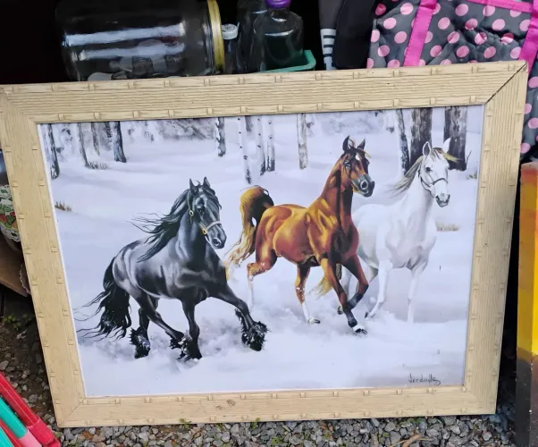 Lindos quadros 40 a 80 cada