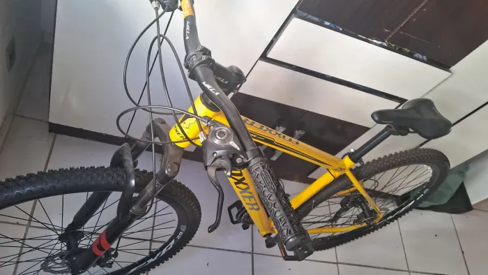 BICICLETA AR0 29 ADULTO FOXXER