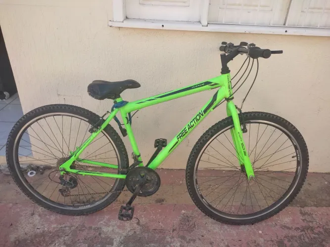 Bicicleta flexus