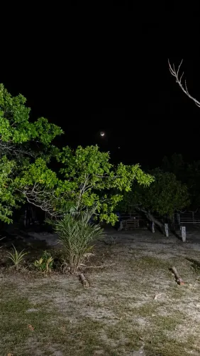 Auxiliar de serviços agrícolas