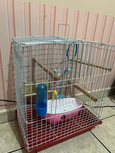 Gaiola Calopsita completa com brinquedos 