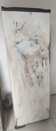 Freezer Vertical