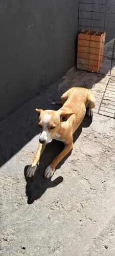 Doação