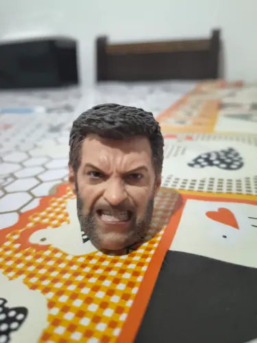 Head Old Logan 