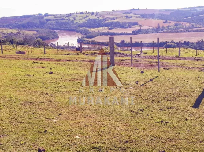 FAZENDA - NOVA AURORA - PR