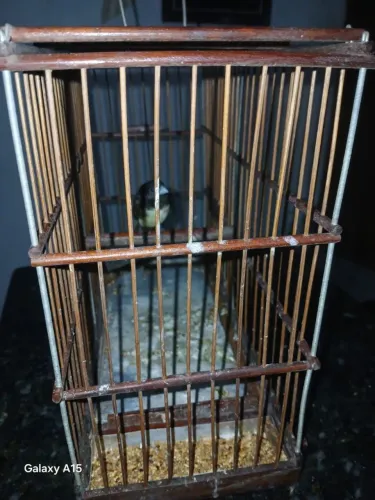 250$ ACEITO CARTÃO