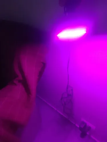Duas Lâmpada leds grow com intenção e painel grow
