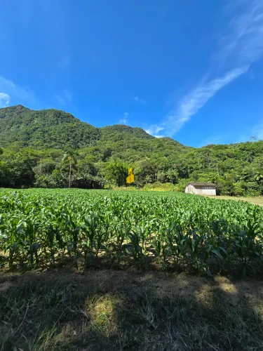 Sítio em Rio dos Cedros - SC