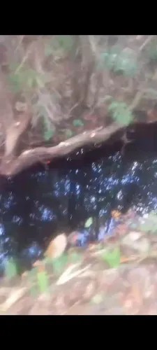 Vende-se terreno para fazer banho