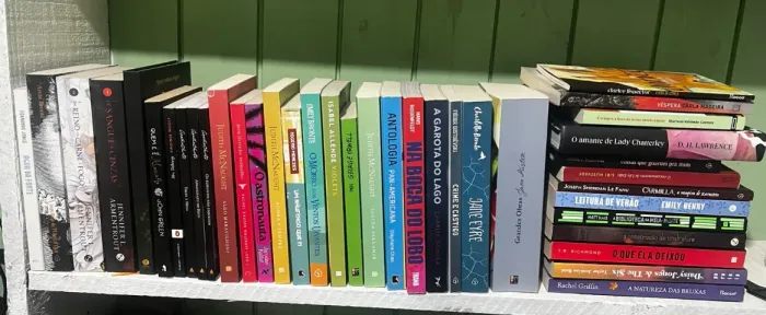 Lote com 30 livros em ótimo estado - romances, clássicos e best-sellers