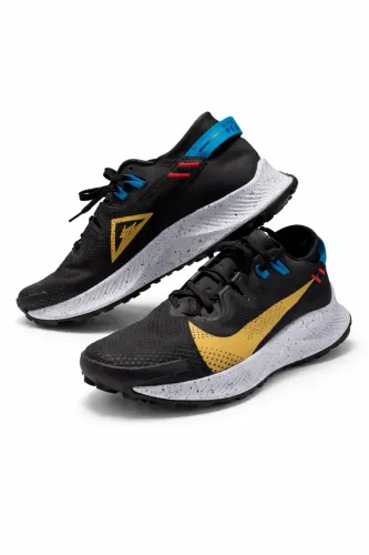 Nike Pegasus Trail 2