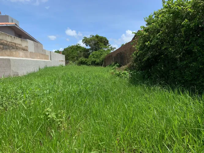 Terreno na santa amelia