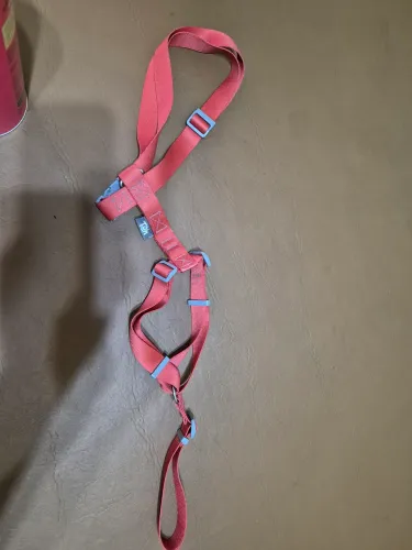 Coleira para cachorros nova