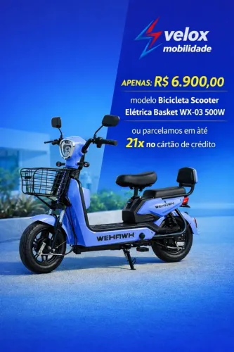 SCOOTER  BASKET WX03 500W