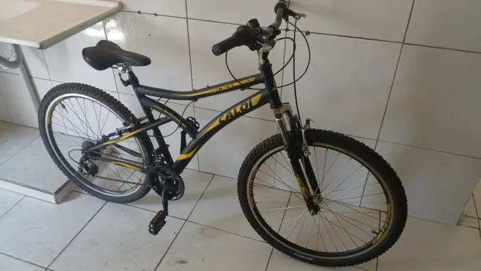Bicicleta Caloi Andes