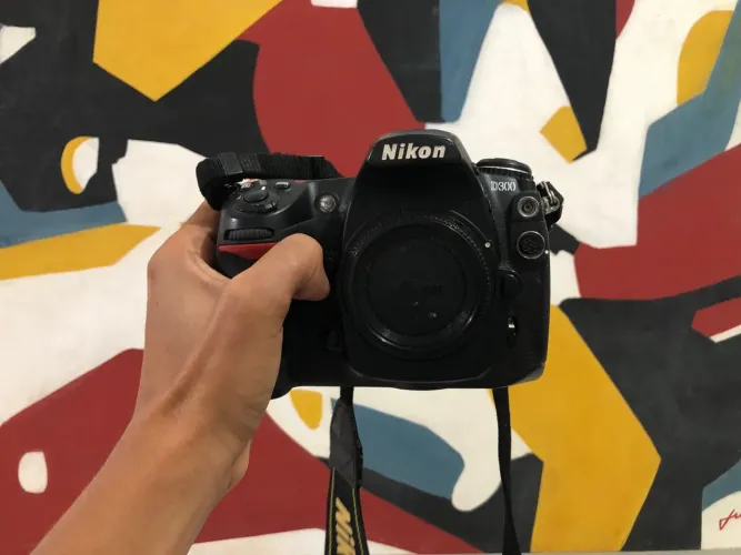 NINKON D300