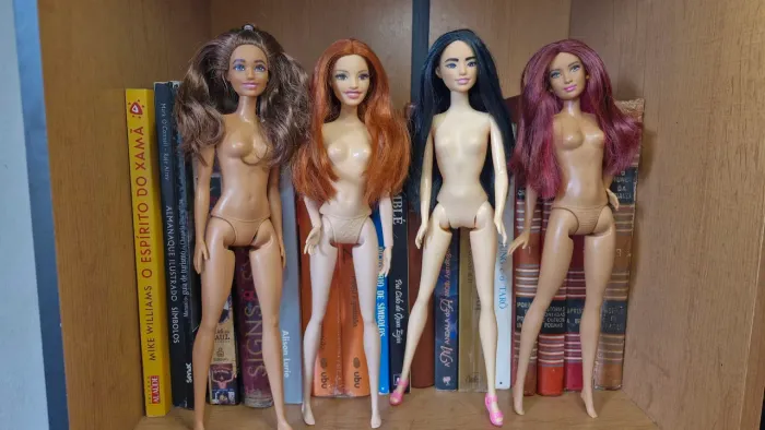 Barbie Fashionistas lote C
