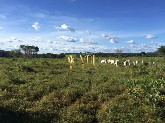 fazenda no tocantins
