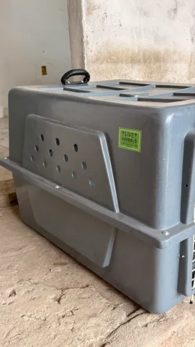 Caixa para transportar cães número 5