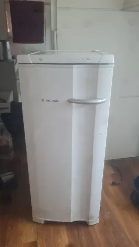 Freezer vertical
