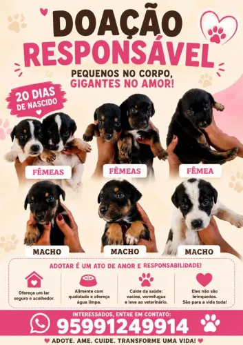 Doação 
