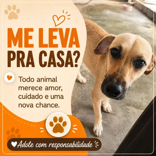 Doasse Cachorro 