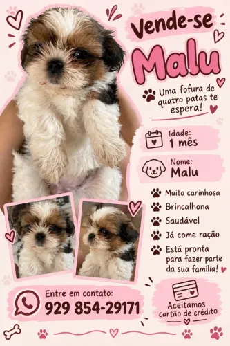 Vende se