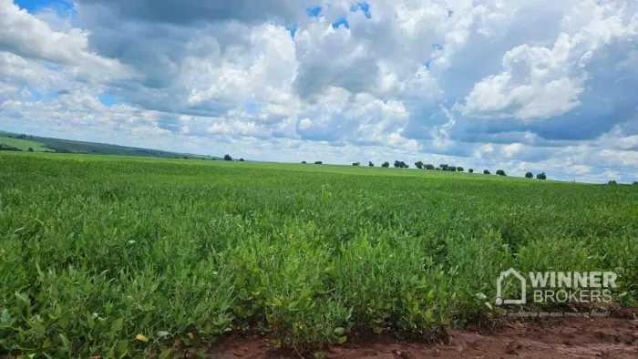 Sítio à venda, 423500 m² por R$ 35.000.000,00 - Parque Industrial Mário Bulhões - Maringá/