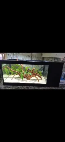 Aquário 40 litros c/ Sump