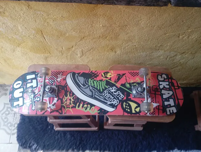 Skate comum 