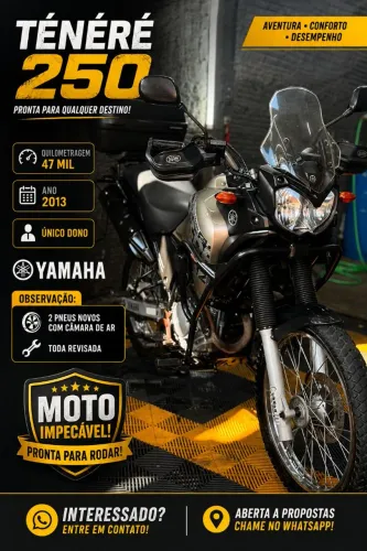 Ténéré 250 moto única