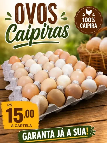 Cartelas de ovos caipiras a venda