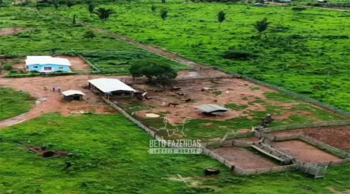 Imóvel para venda possui 4428200 metros quadrados em Zona Rural - Aripuanã - MT