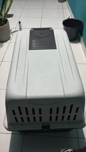 Caixa transporte pet