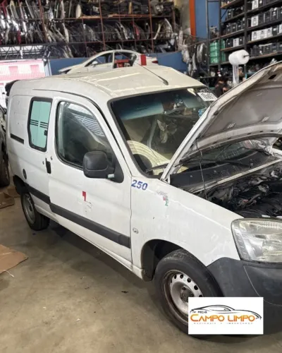 SUCATA PEUGEOT PARTNER MARIMAR 1.6 2019/2020 (PRA RETIRADA DE PEÇAS )