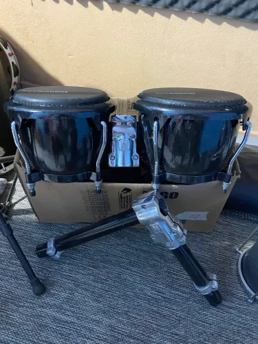 Bongo newGroove