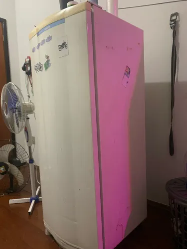 Geladeira 110