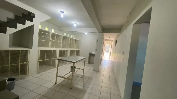 Vendo Clínica Veterinária