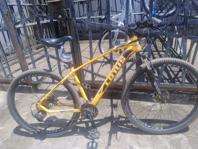 Bicicleta Lótus Aro 29